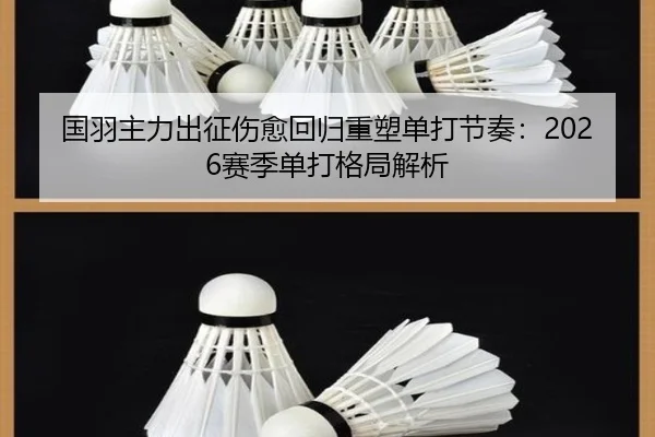 国羽主力出征伤愈回归重塑单打节奏：2026赛季单打格局解析